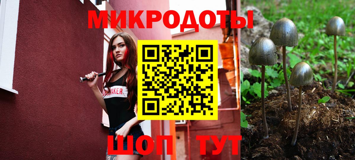 Галлюциногенные грибы Magic Shrooms  Вход с VPN  Галлюциногенные грибы GOLDEN TEACHER  Зеленодольск 